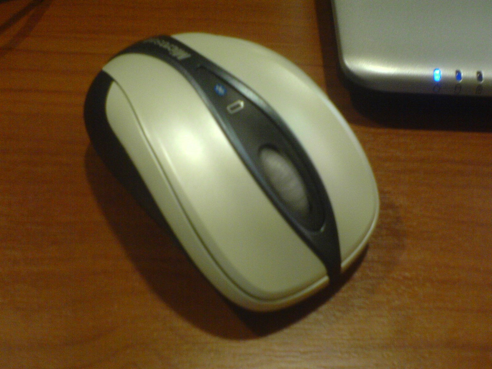 [DSC01541.JPG]