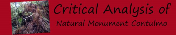 Read a critical analysis about the Natural Monument Contulmo