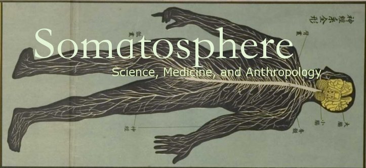 Somatosphere