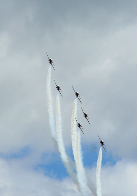 [snowbirds8.jpg]