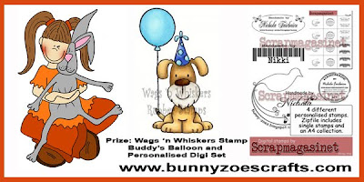 Bunny zoes crafts