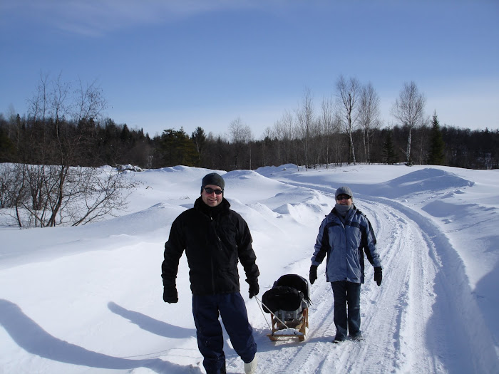 Ma première promenade en traineau