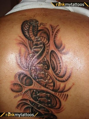 snake tattoo is usually believed to clever and dangerous animal, 