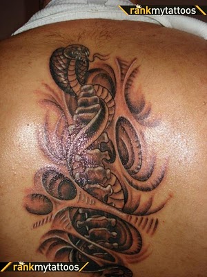 snake tattoo is usually believed to clever and dangerous animal, snake tattoo is usually believed to clever and dangerous animal,
