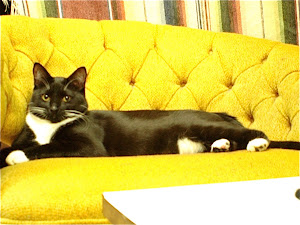 jaargang: Biker Babes