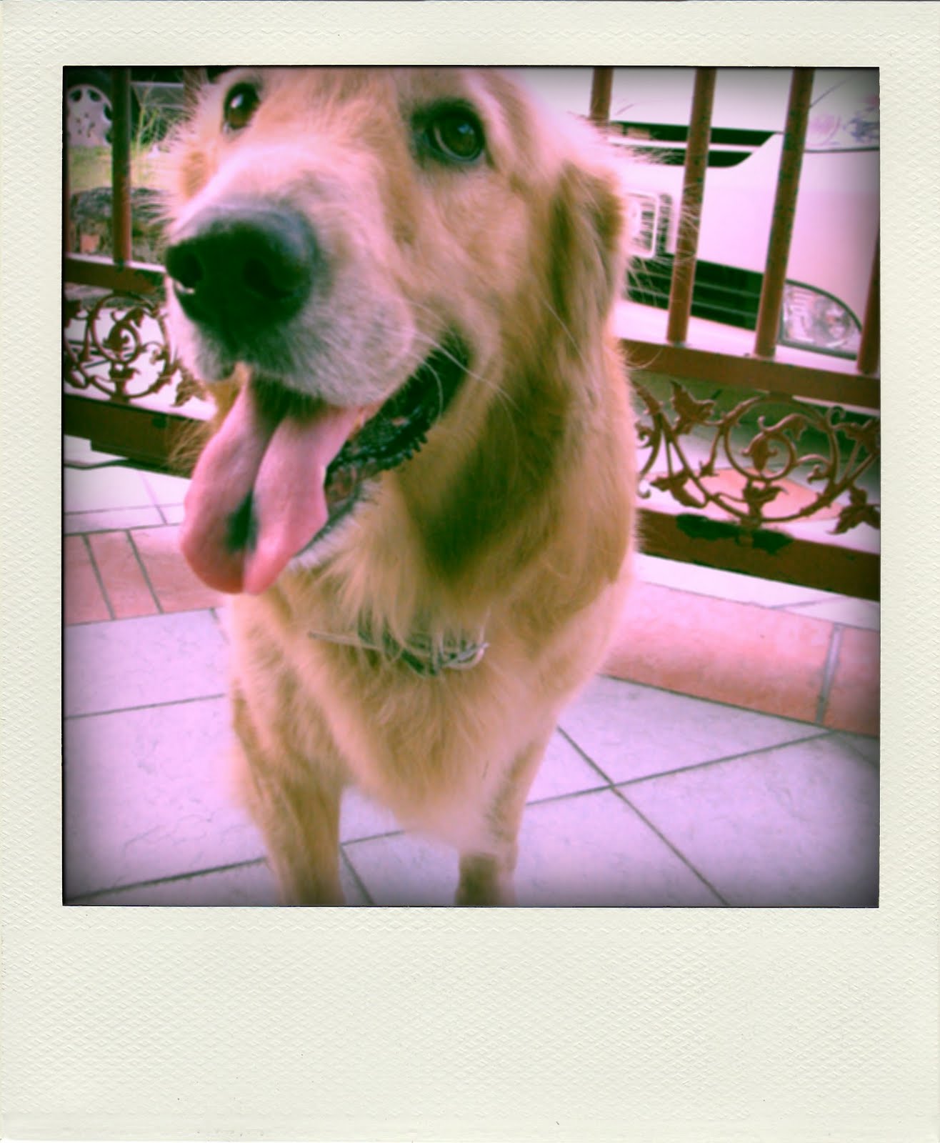 [IMG_1376-pola02.jpg]