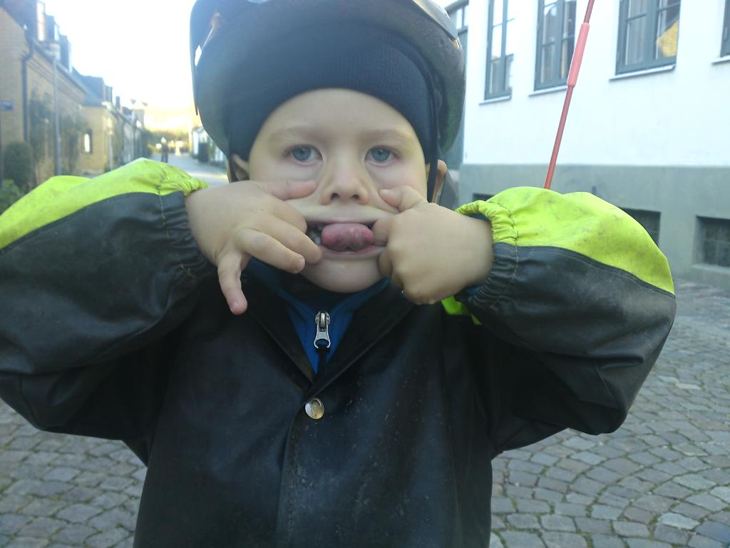 [image-upload-61-798447.jpg]