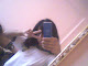 Mi foto