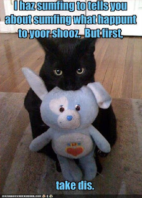funny-pictures-cat-brings-you-a-bribe1.jpg