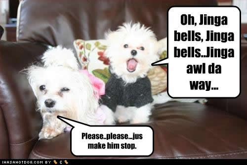funny-dog-pictures-jinga-bells.jpg