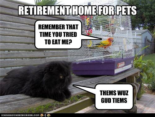 funny retirement quotes.