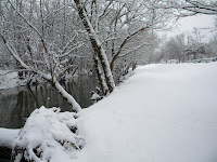 Adventurebound8: Christmas in Gatlinburg, TN!