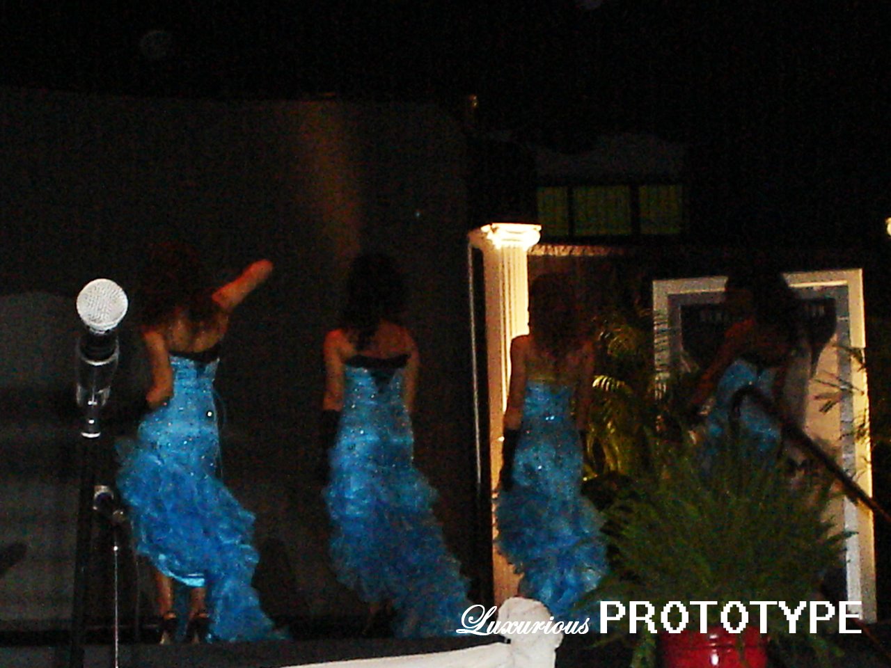 [DSC06782.JPG]
