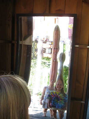Silly Mirrors