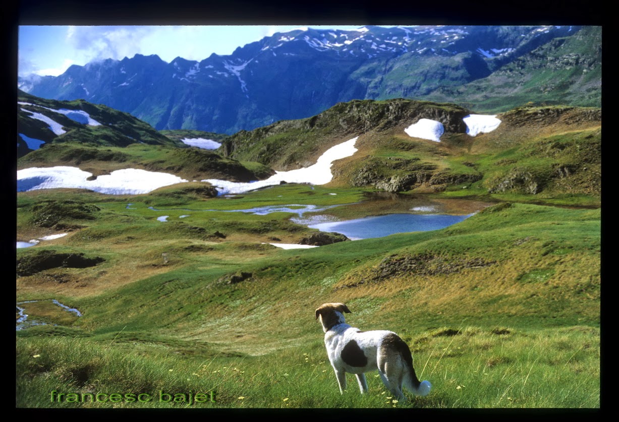 [15110+FED+-+Lago+y+Musli-Pirineos-+Andorra-.jpg]