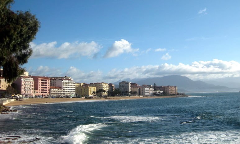 [IMG_0979.JPG]