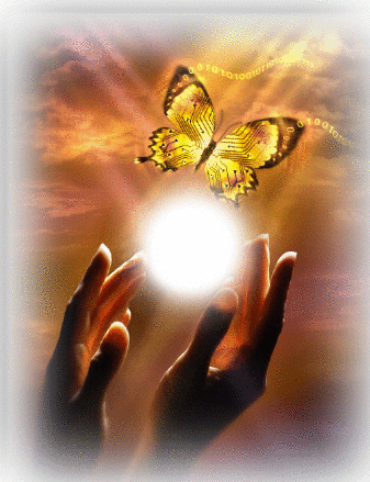 Butterfly.gif