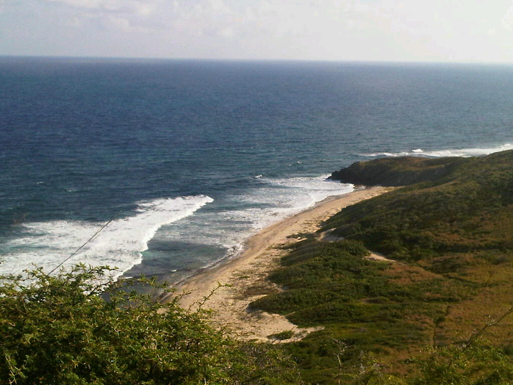 [=?utf-8?B?SU1HMDAxNTAtMjAxMDAyMjgtMTYyNC5qcGc=?=-769923]