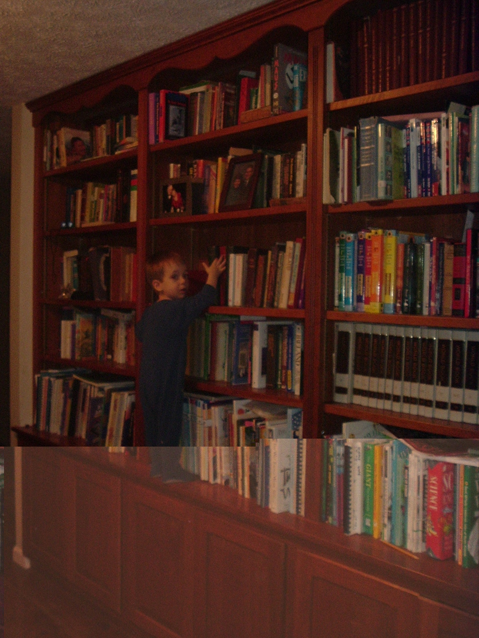 Building a Home Library