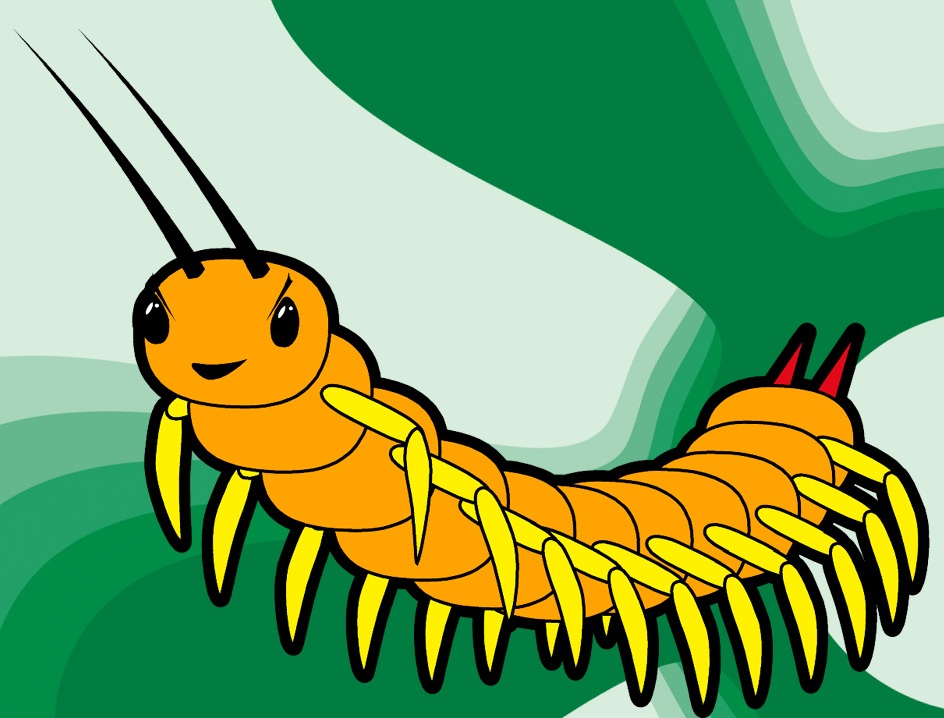 [centipede.jpg]