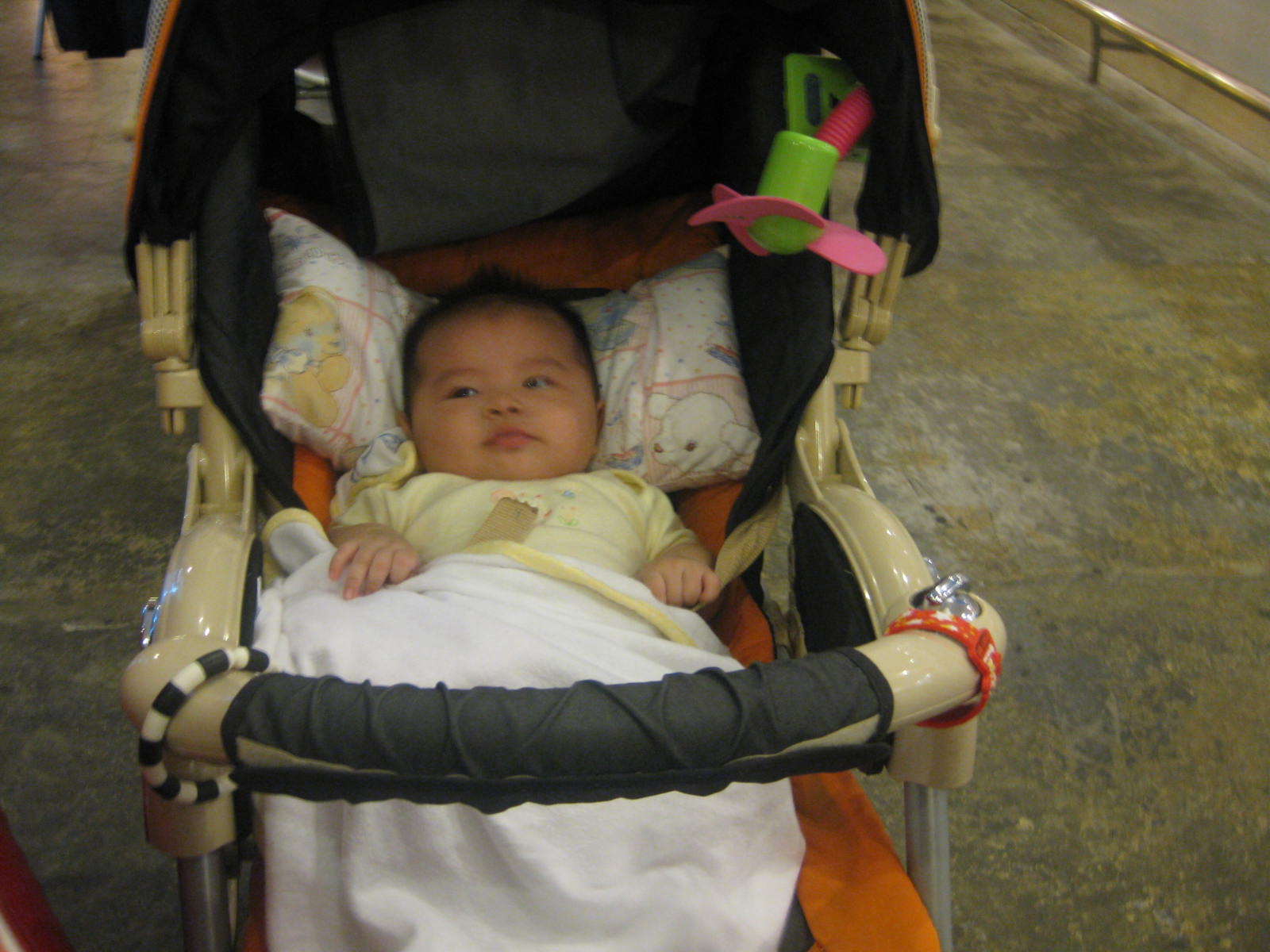 [IMG_0791.JPG]