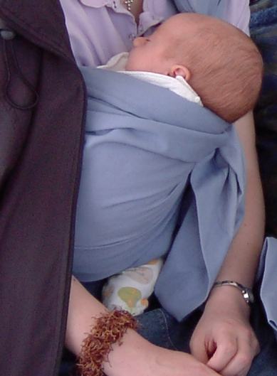 [PIC_0131_crop_blog.JPG]