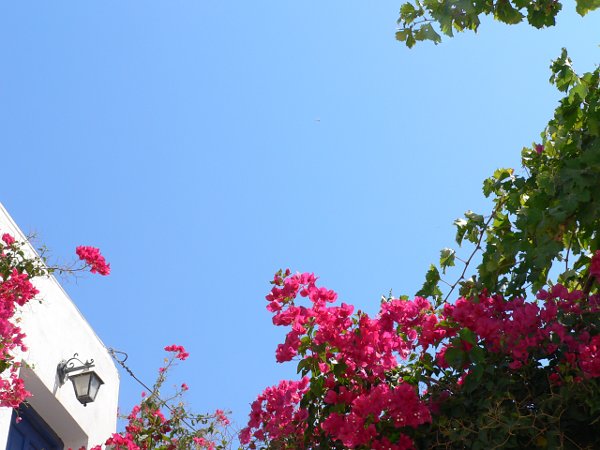 [Lefkes_2009_P1060287.JPG]