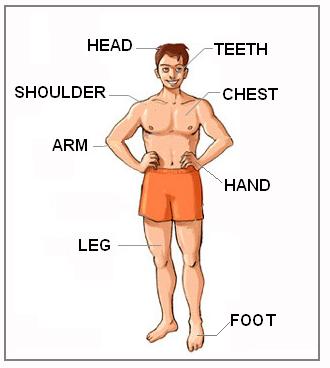 Ficha en Inglés , para trabajar las partes del Cuerpo Humano.