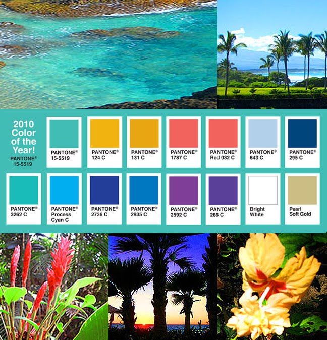 Tropical Colors