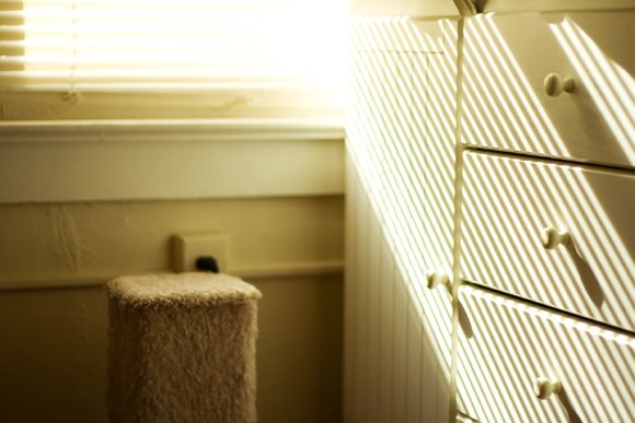 [bedroomscratchingpost01a.jpg]