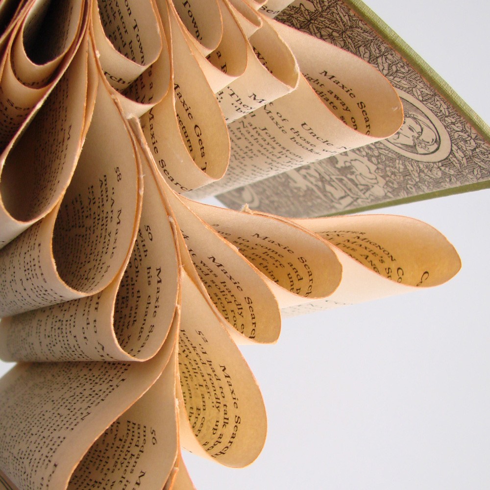 [il_fullxfull.61581964.jpg]