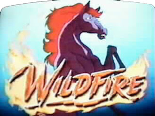 WildFire