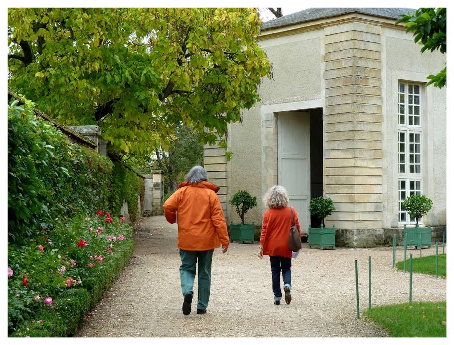 Orangerie de Jussieu