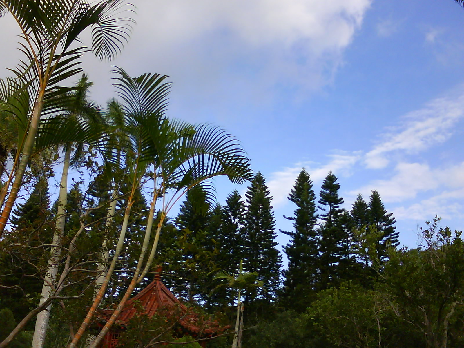 [DSC00476.JPG]