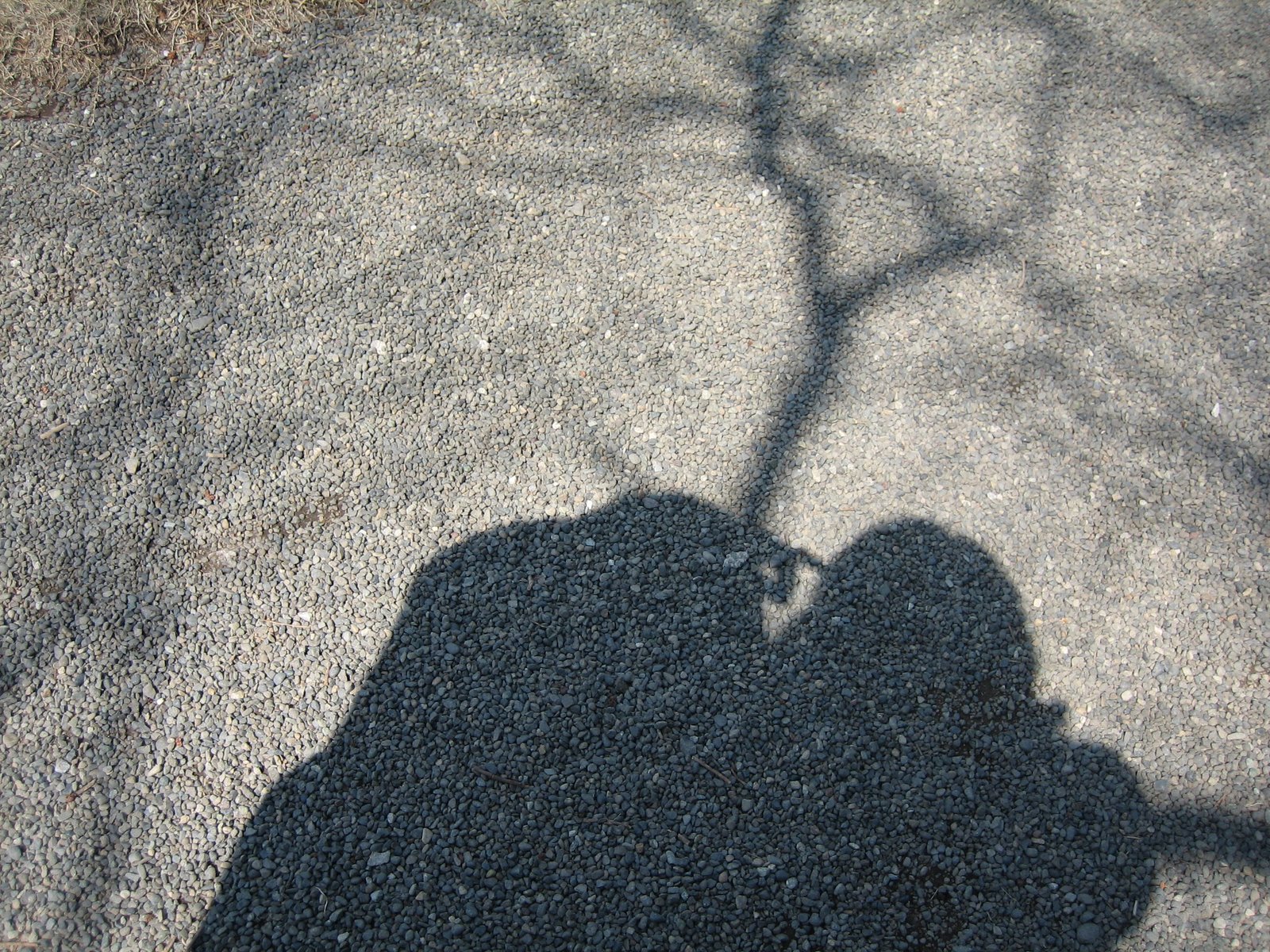 [IMG_2585.JPG]