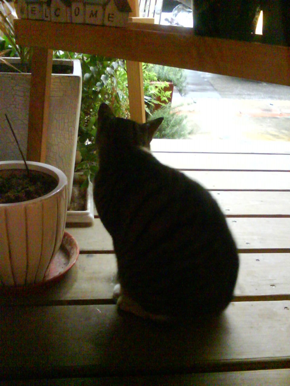 [DSC01105.JPG]