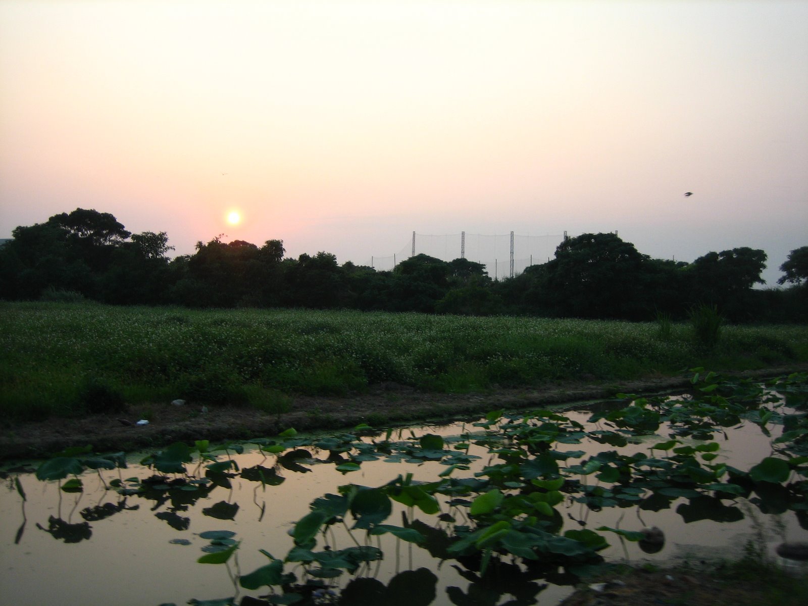 [IMG_7760.JPG]