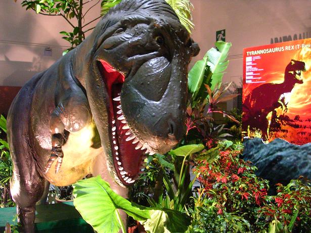 [dinosaur3.JPG]
