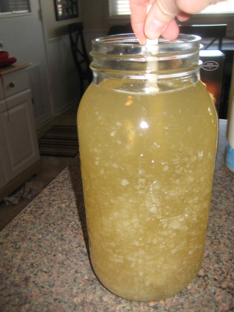 Water Kefir