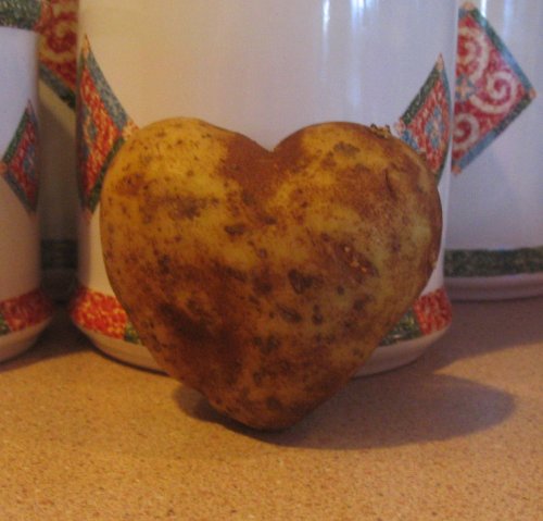 [potato+heart.jpg]