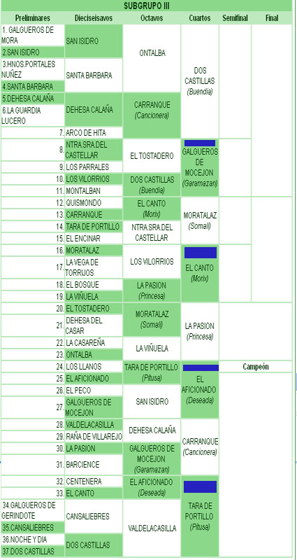 GALGOS CAMPEONES DE ESPANA galgos campeones de espana: