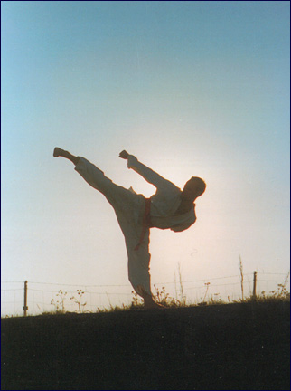 VIDEO CLIP TAE KWON DO video clip tae kwon do: