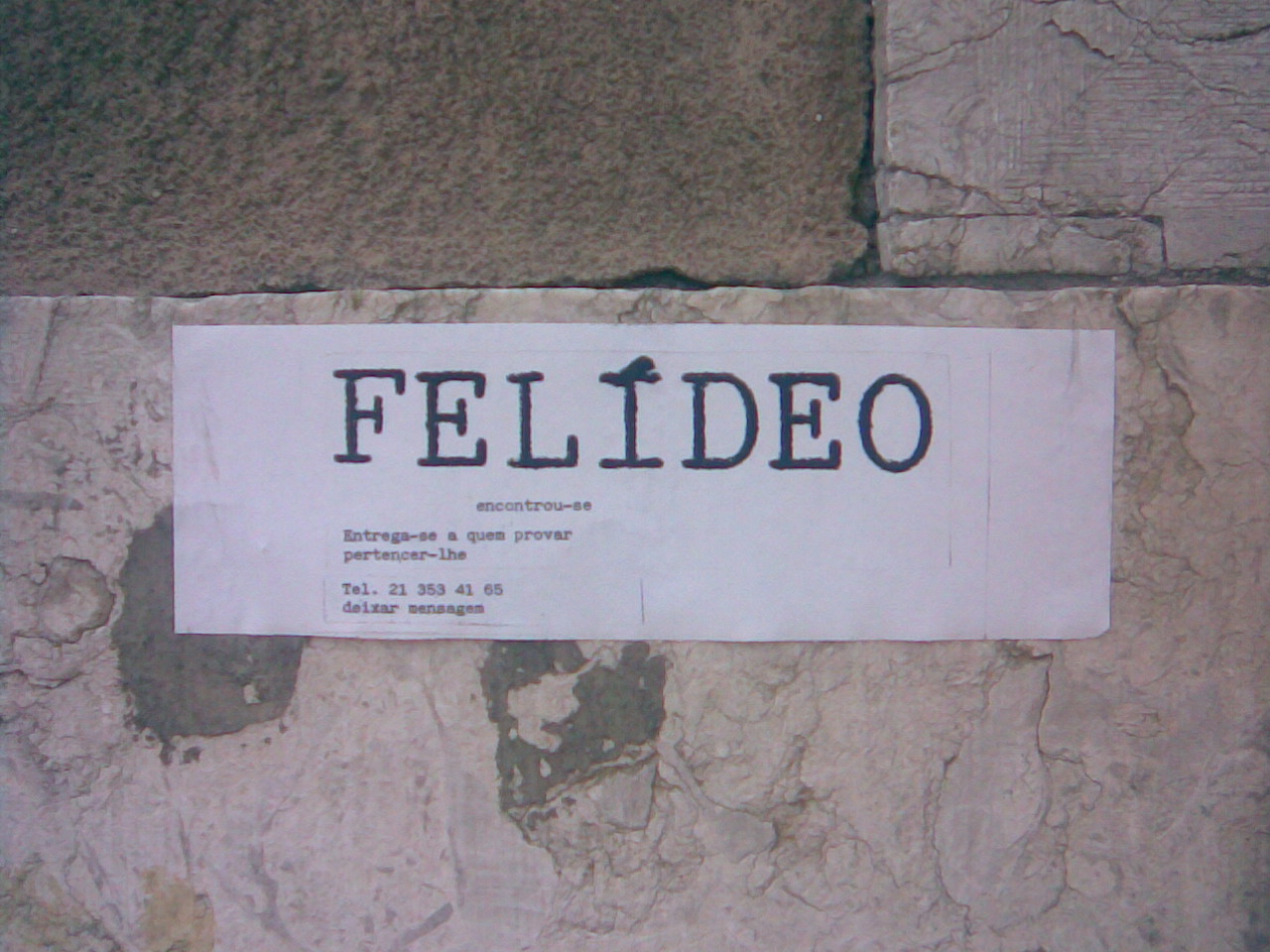 [felideo.jpg]