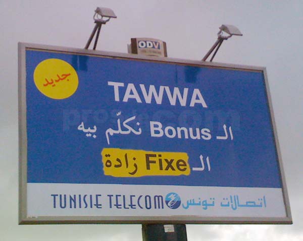 [tt+tawwa.jpg]