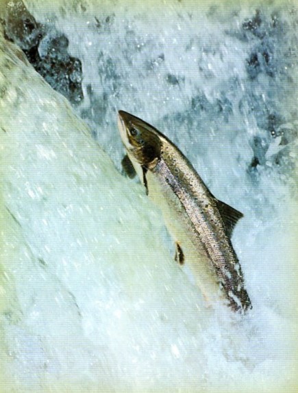 [img2601.jpg]