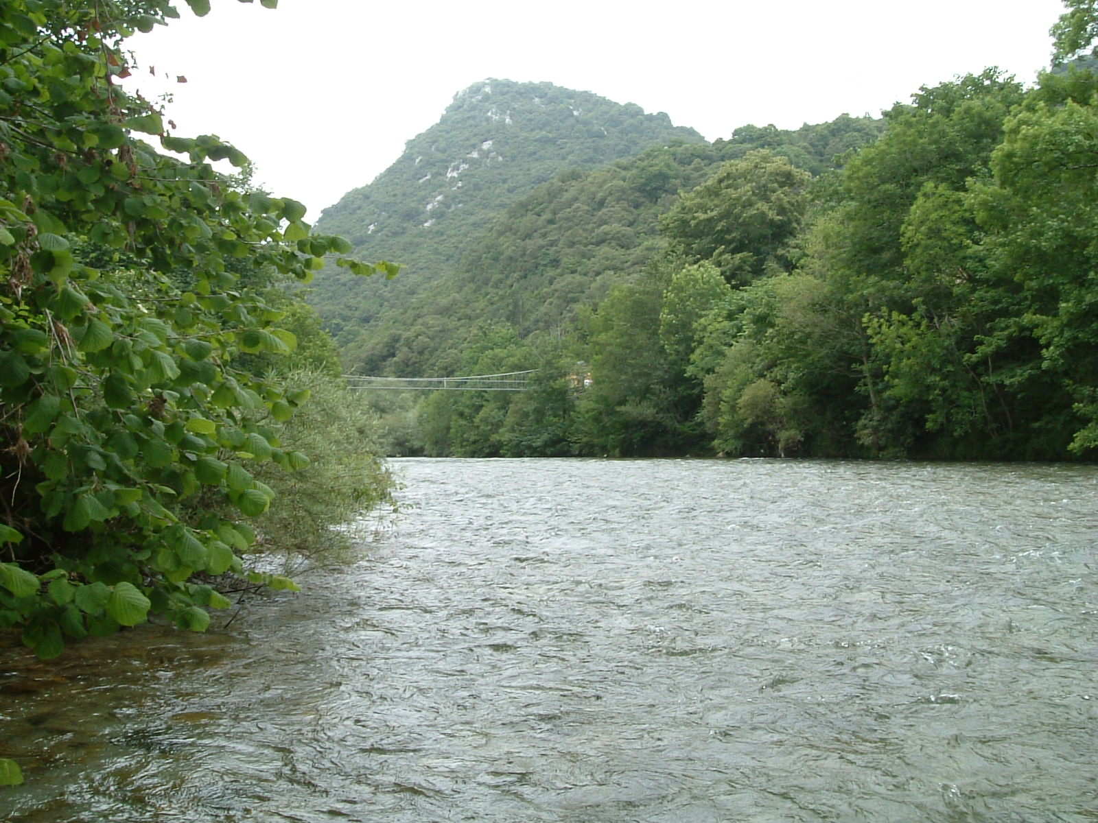 [pasarela+de+la+molinuca3.JPG]