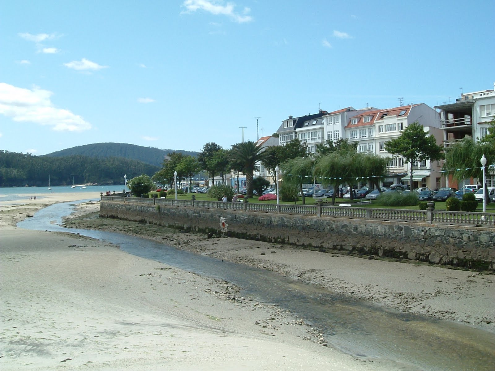 [DSCF0156.JPG]
