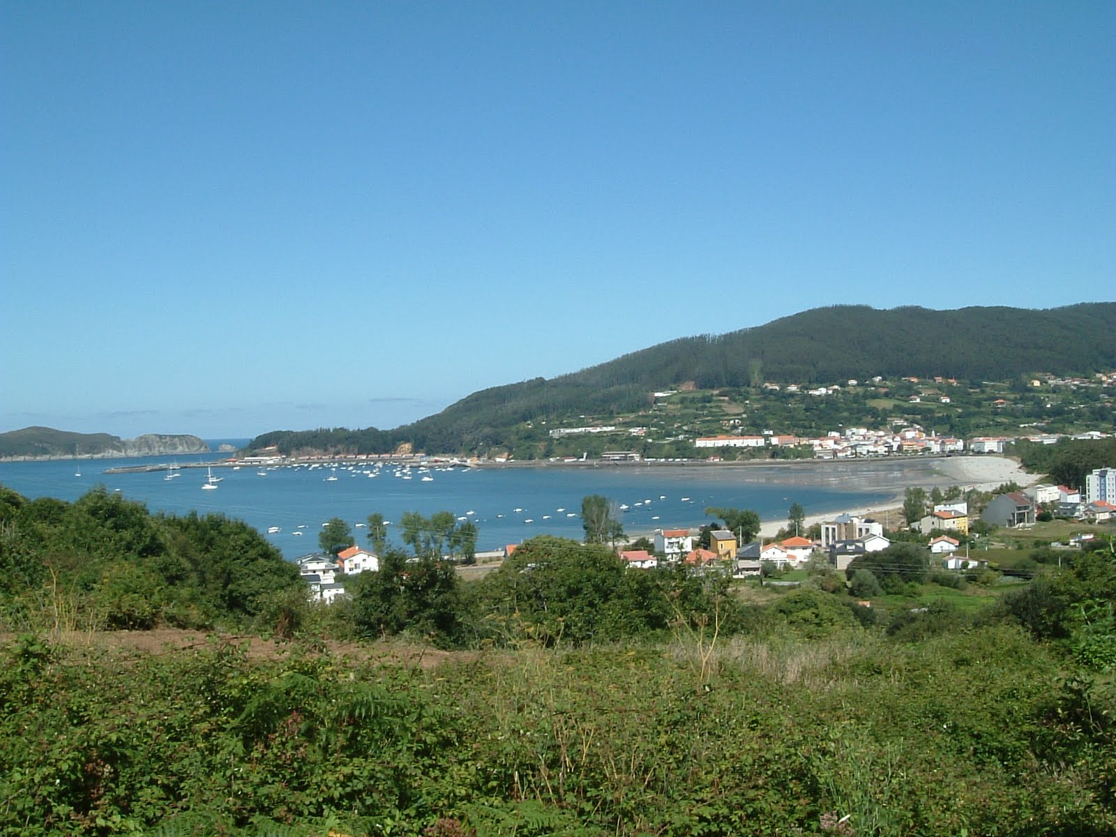 [DSCF0012.JPG]