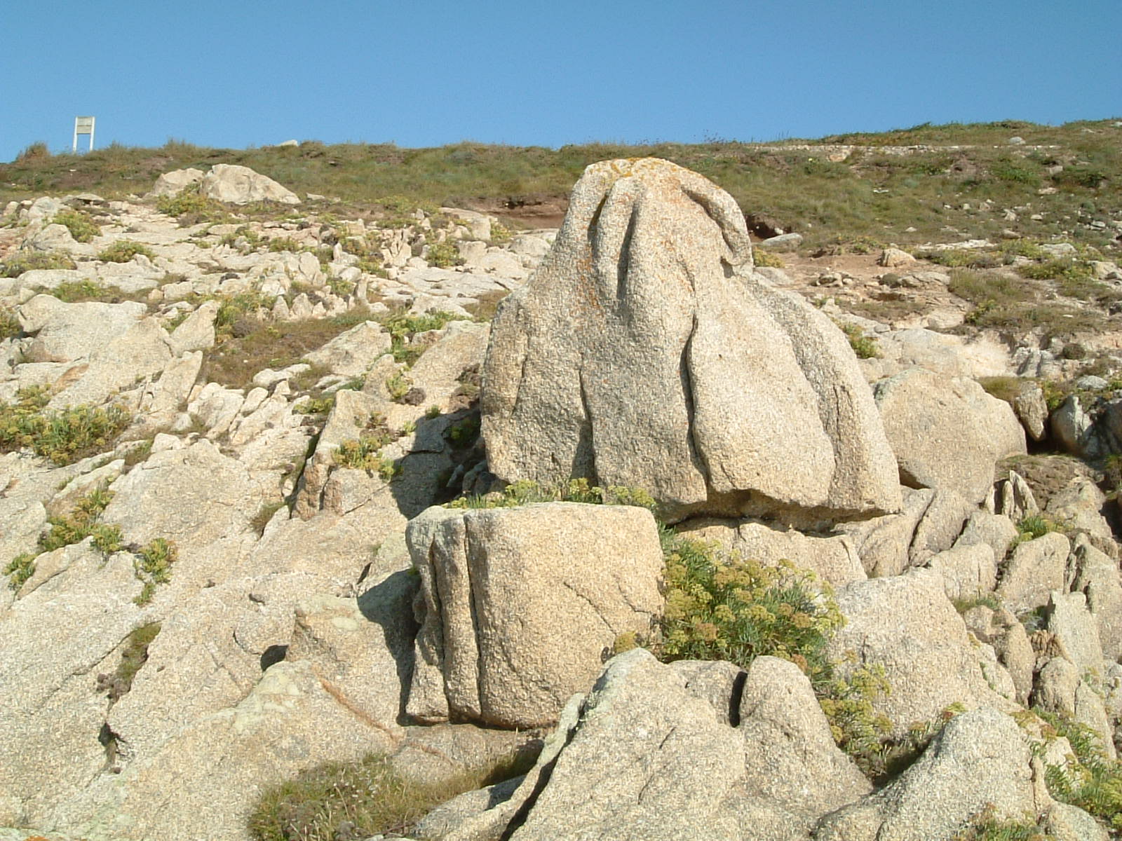 [8-+punta+coitelada.JPG]