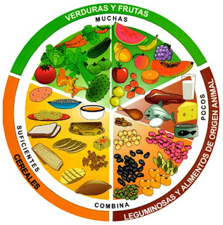 El+plato+del+buen+comer+para+colorear